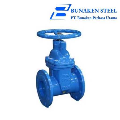 Gate Valve